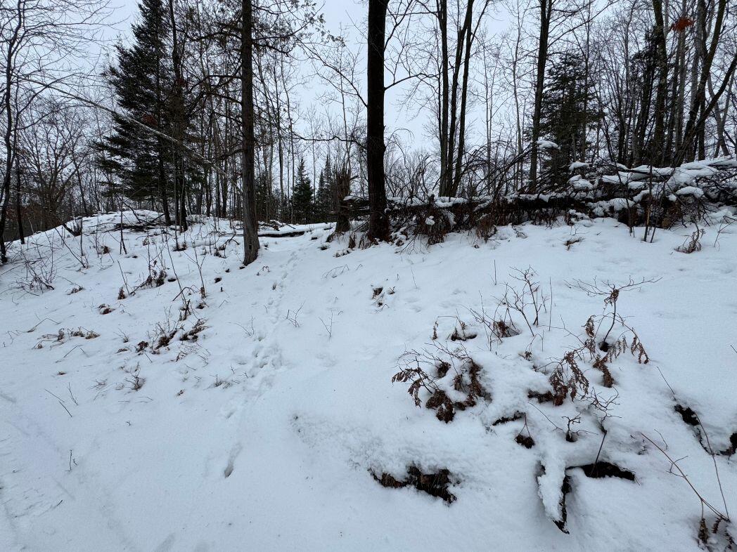 W17810 Eland Road Wittenberg, WI 54499 - Photo 62 of 86 IMG_7641