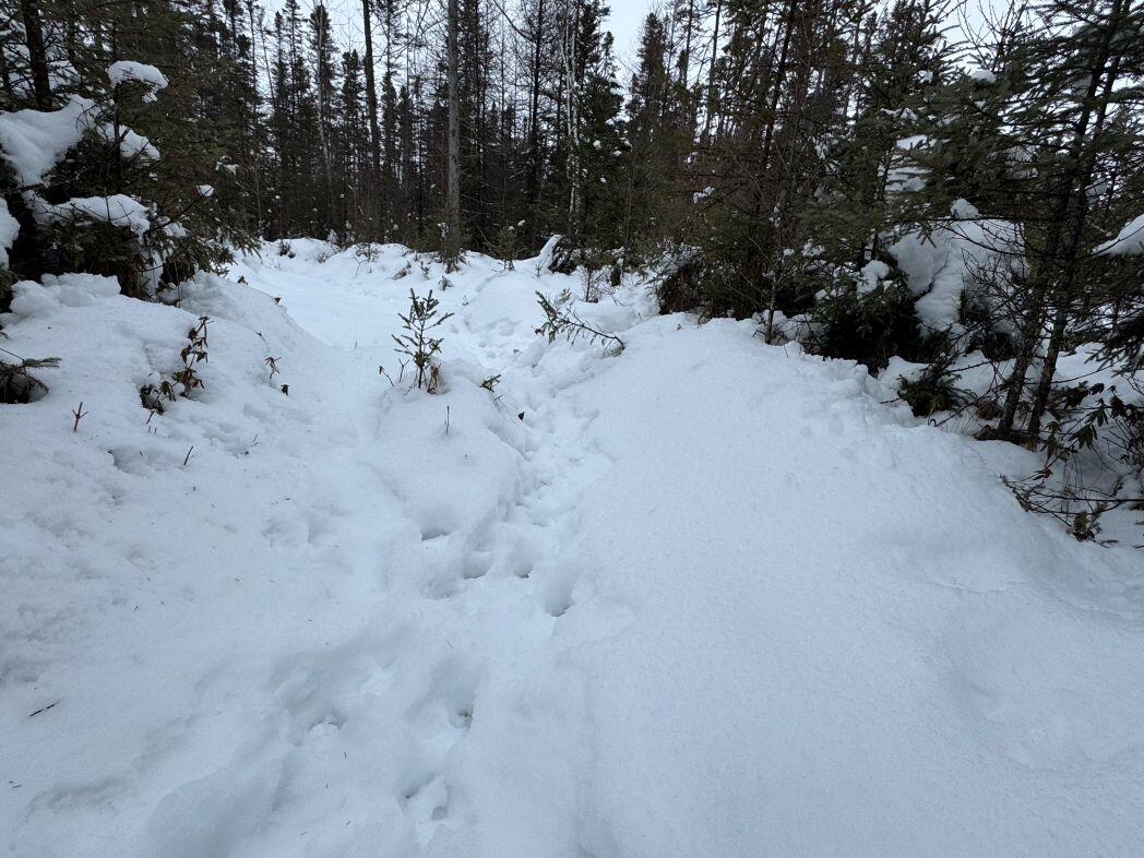 W17810 Eland Road Wittenberg, WI 54499 - Photo 67 of 86 IMG_7646