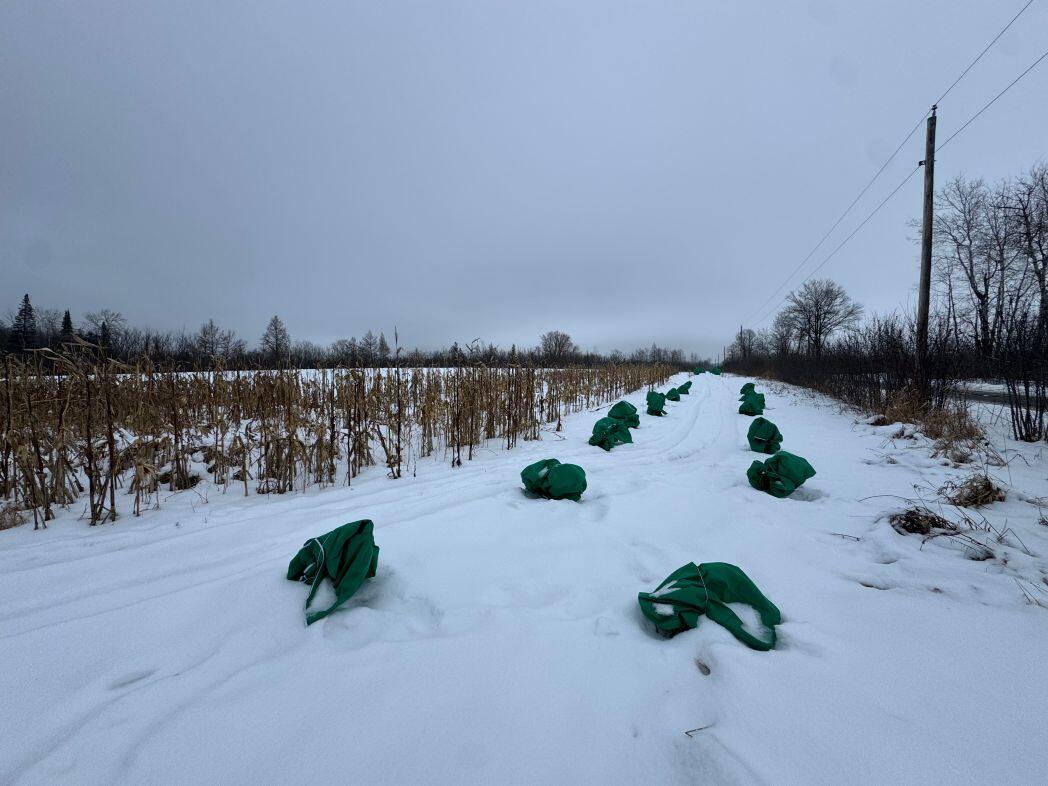 W17810 Eland Road Wittenberg, WI 54499 - Photo 72 of 86 IMG_7661