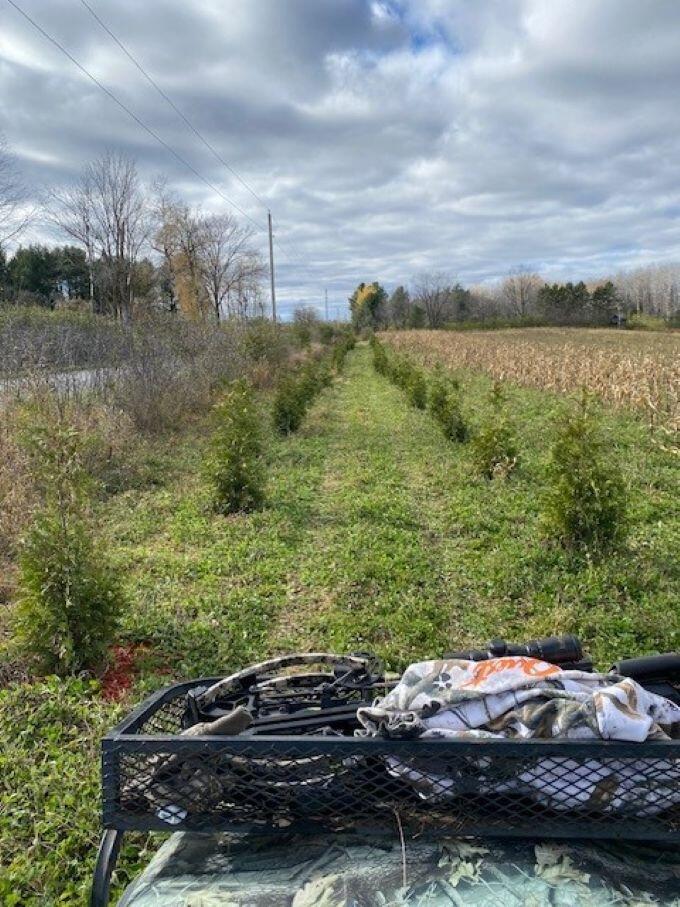 W17810 Eland Road Wittenberg, WI 54499 - Photo 81 of 86 trees