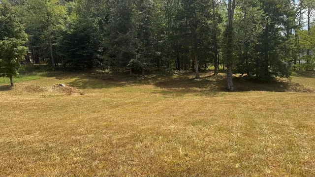 a view of swimming pool with trees