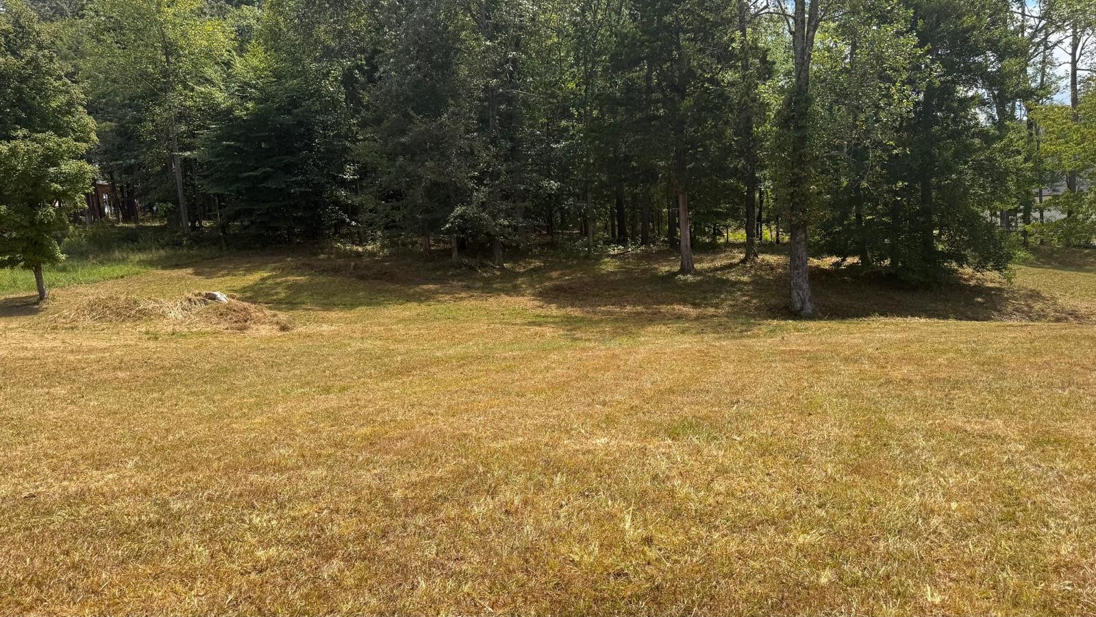 0 Columbia Road Charlotte, TN 37036 - Photo 4 of 7 a view of swimming pool with trees