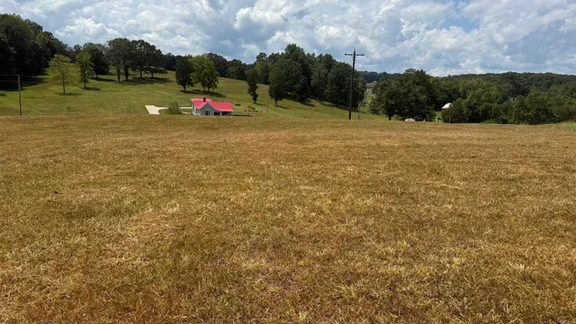 a view of outdoor space with swimming pool and trees in the background
