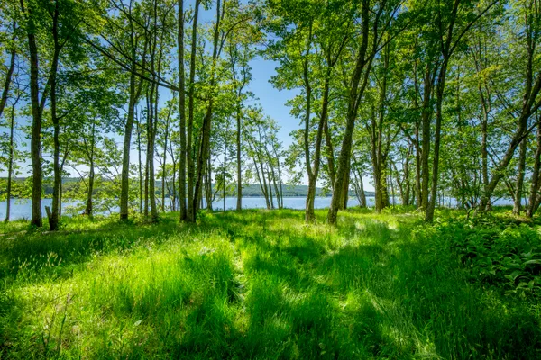 $1,500,000 | 914 Union Road, Appleton, ME 04862