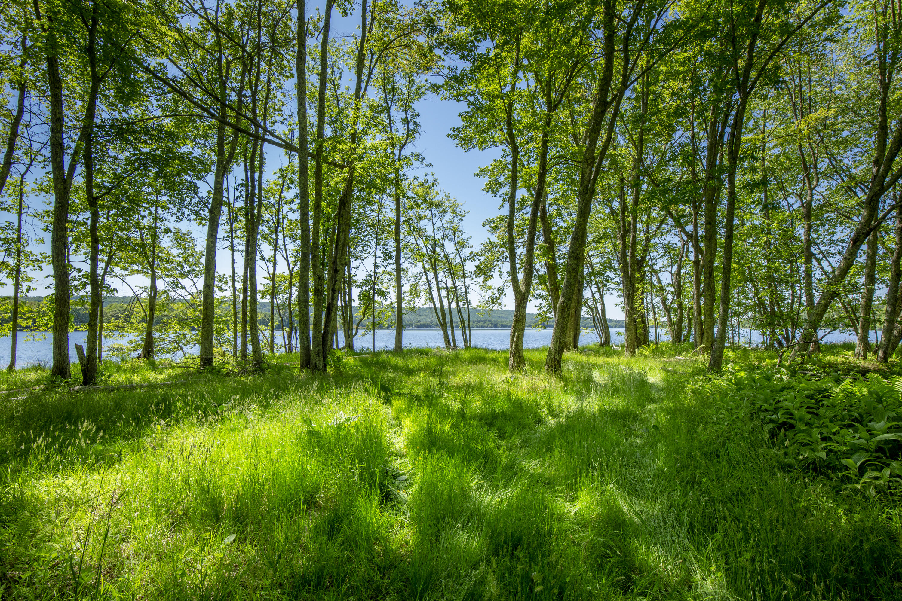 914 Union Road Appleton, ME 04862 - Photo 1 of 50 01-914UnionRd-Appleton-KS