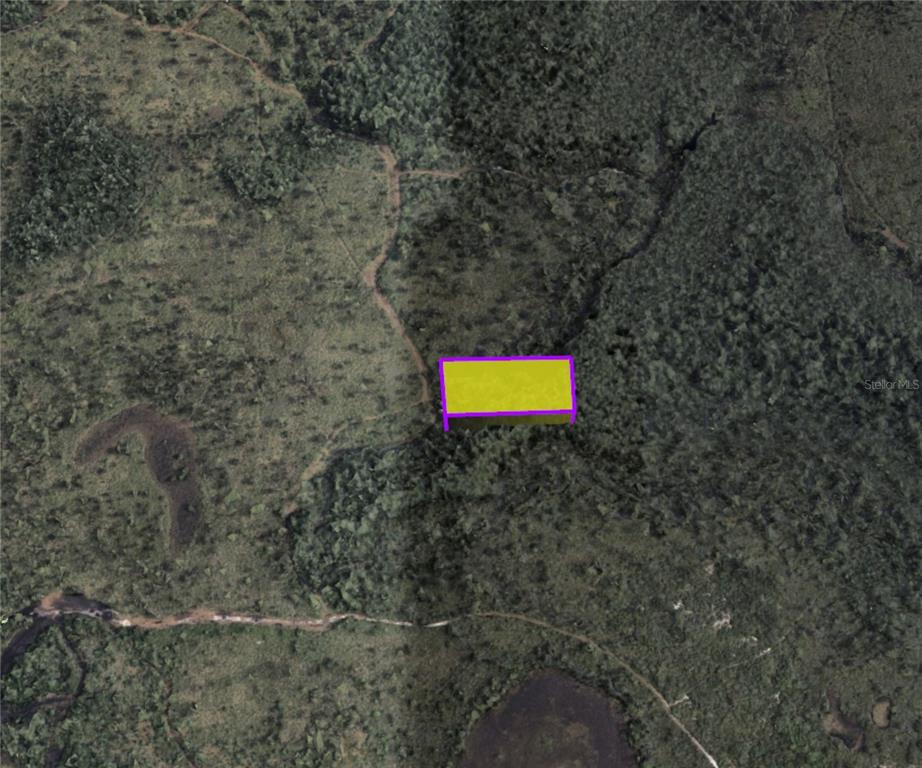 3460 Dill Road Christmas, FL 32709 - Photo 4 of 11 a view of a wall with a bench and trees