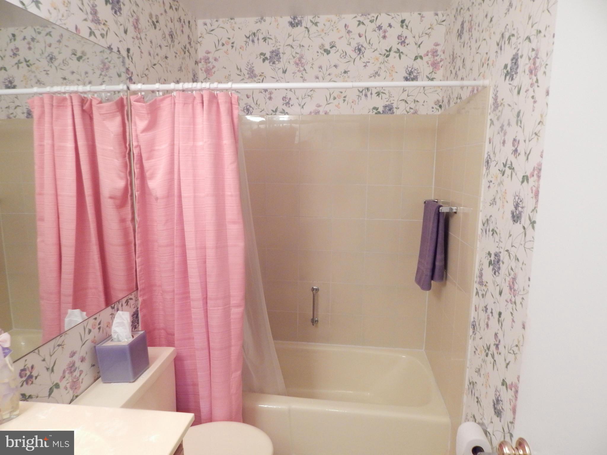 303 Highfalcon Road Reisterstown, MD 21136 - Photo 6 of 26 Full Bath