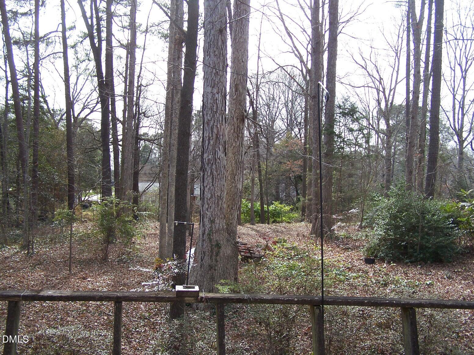 5008 Will-O-Dean Road Raleigh, NC 27616 - Photo 34 of 38 Back Yard
