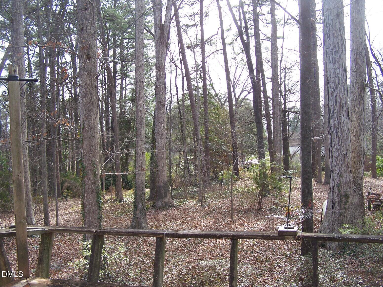 5008 Will-O-Dean Road Raleigh, NC 27616 - Photo 35 of 38 Back Yard