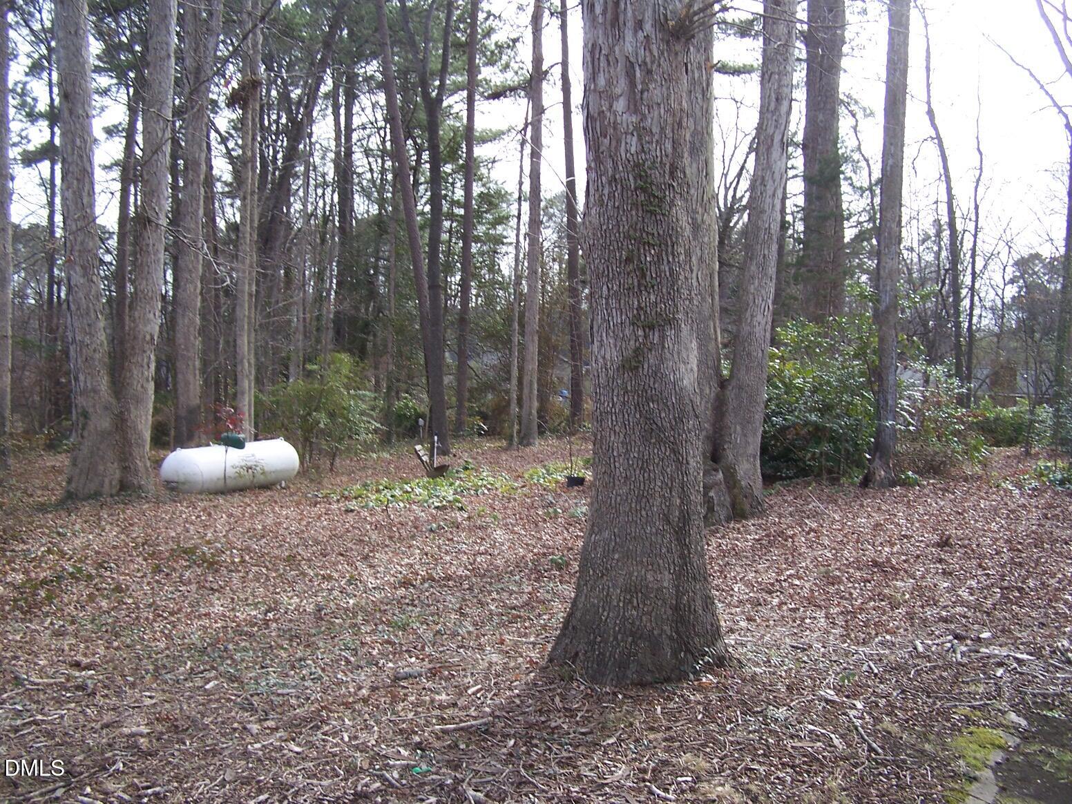 5008 Will-O-Dean Road Raleigh, NC 27616 - Photo 36 of 38 Back Yard