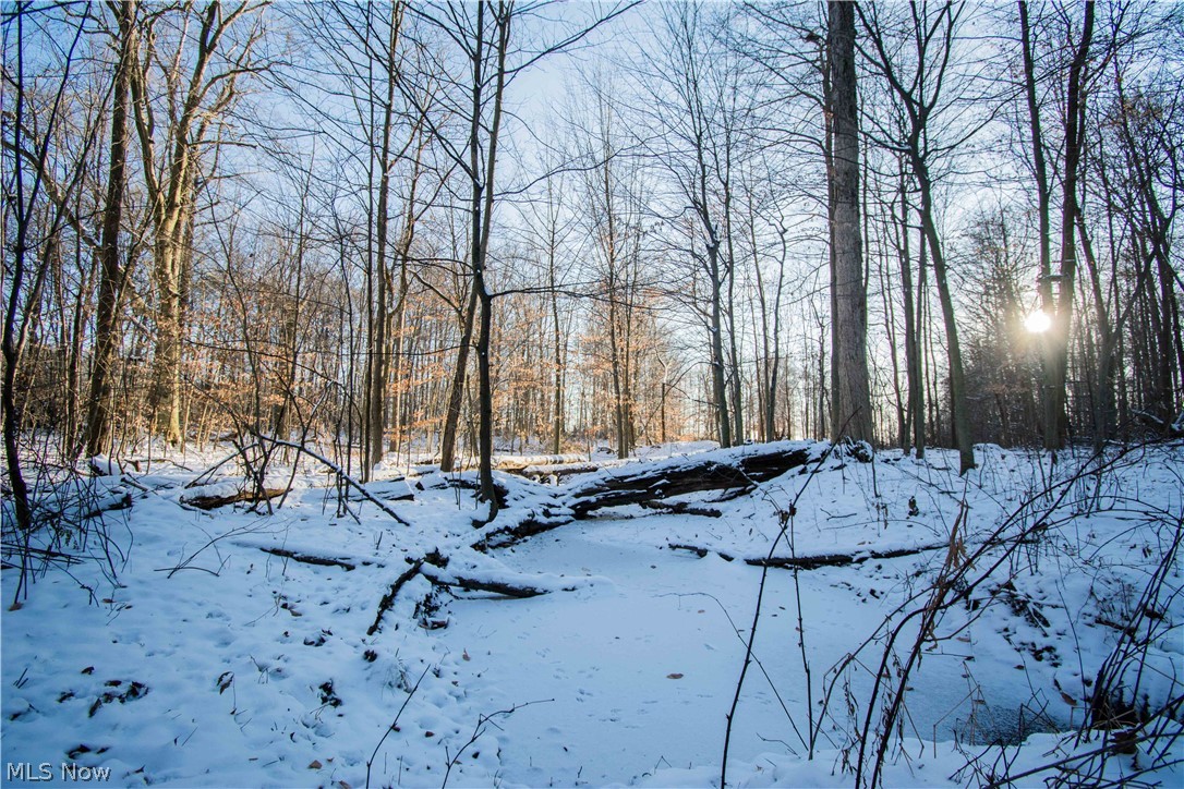 6065 Beach Road Wadsworth, OH 44281 - Photo 10 of 24 Gallery Image 10