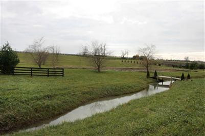 3880 Haley Road Lexington, KY 40516 - Photo 23 of 34 Photo 23