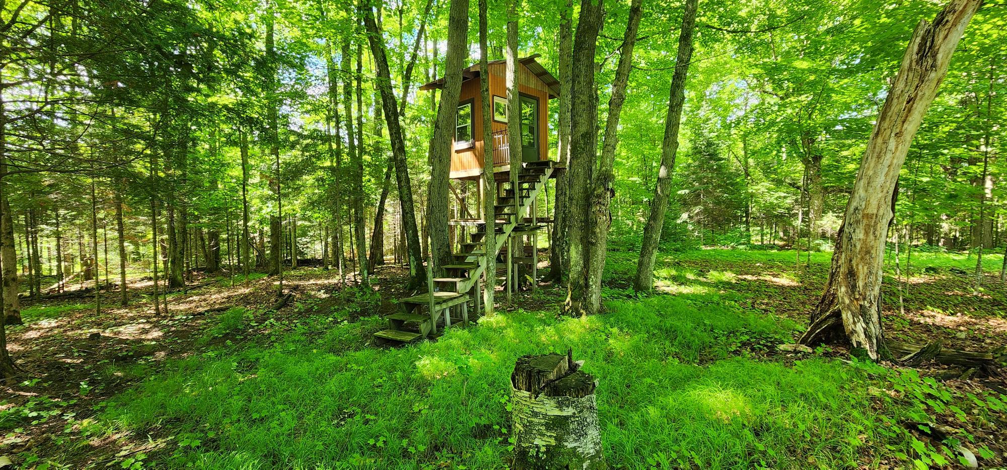 875 Rydzewski Road Three Lakes, WI 54562 - Photo 51 of 66 Gallery Image 51