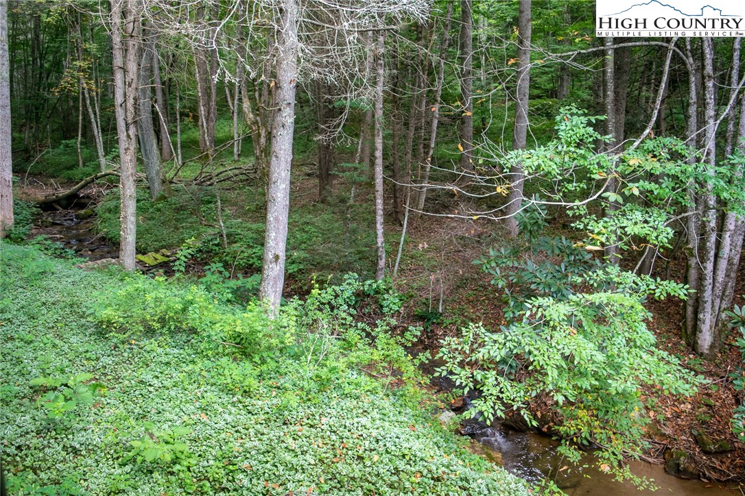 146 Mallard Lane Boone, NC 28607 - Photo 21 of 35 Gallery Image 21