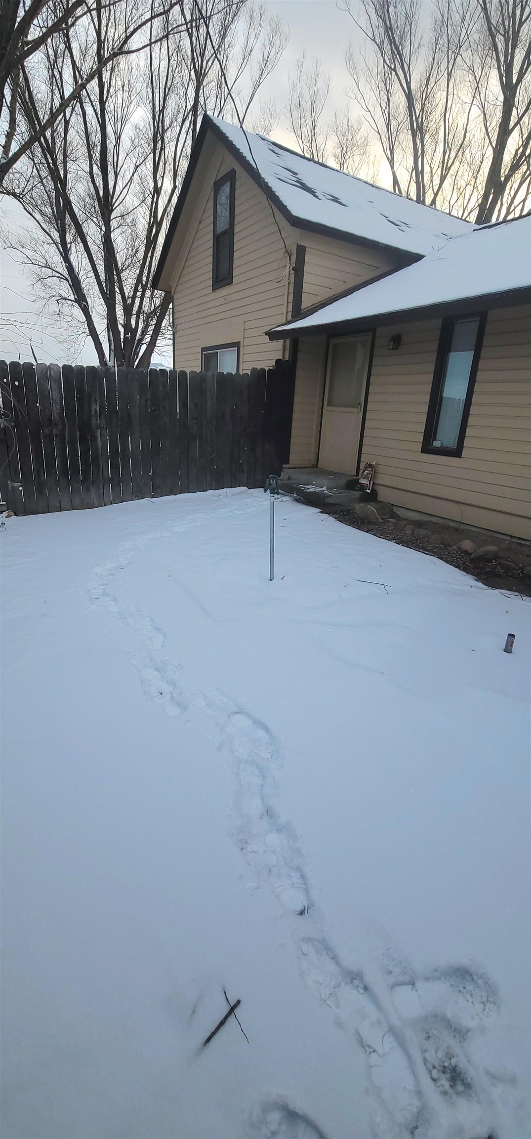 1888 K Road Fruita, CO 81521 - Photo 11 of 13 a view of backyard with large trees and wooden fence
