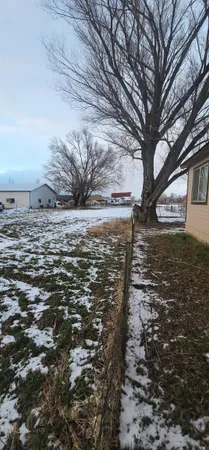 a view of a dry yard