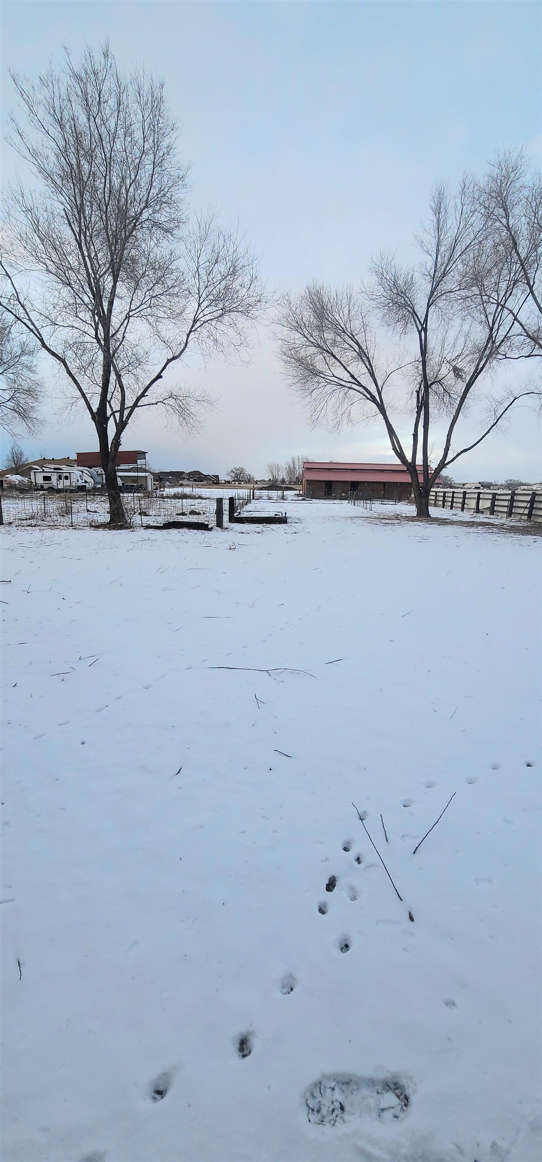 1888 K Road Fruita, CO 81521 - Photo 13 of 13 a view of a dry yard