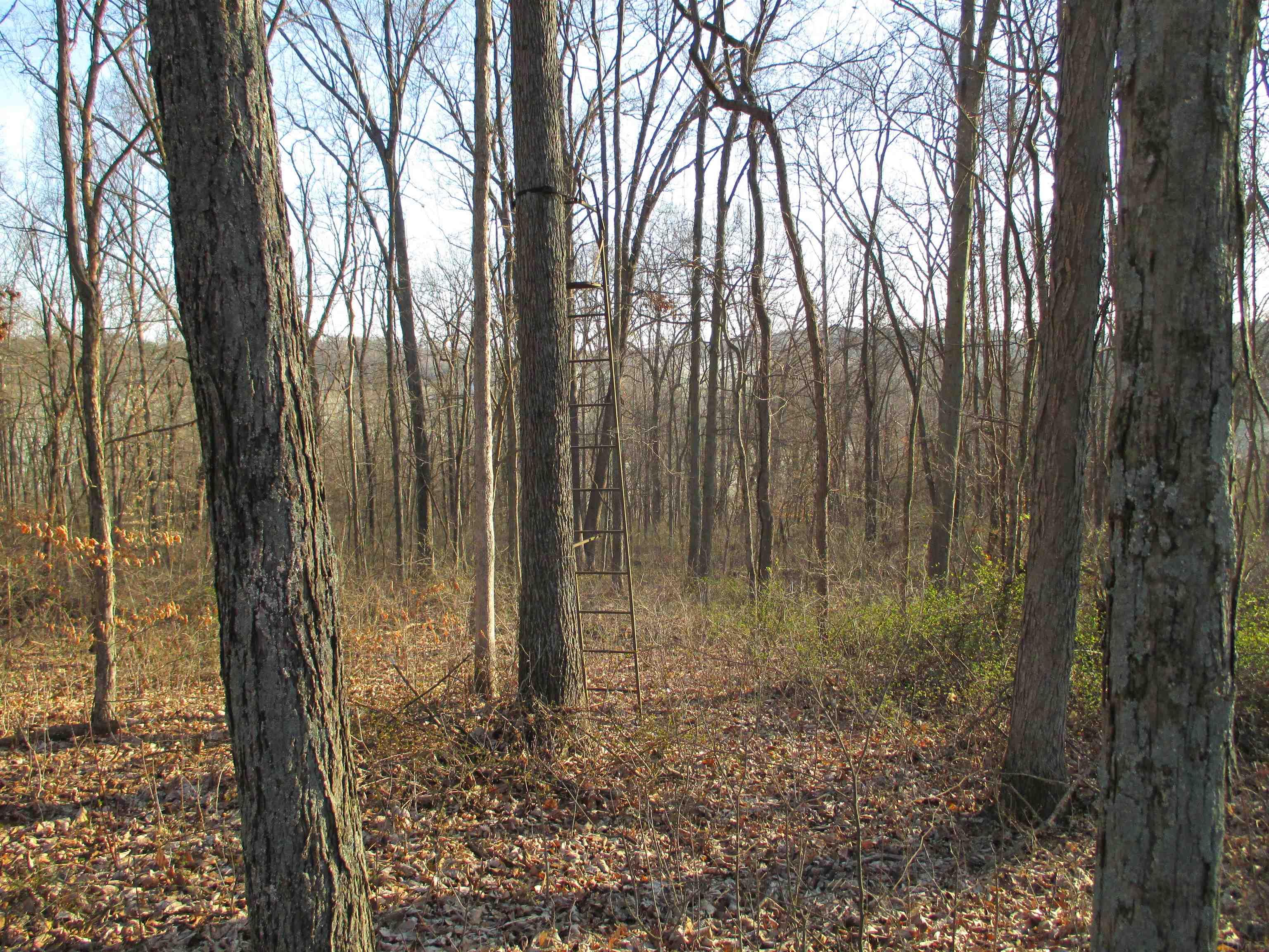 8808 West Evans Road Bloomington, IN 47403 - Photo 26 of 36 Gallery Image 26