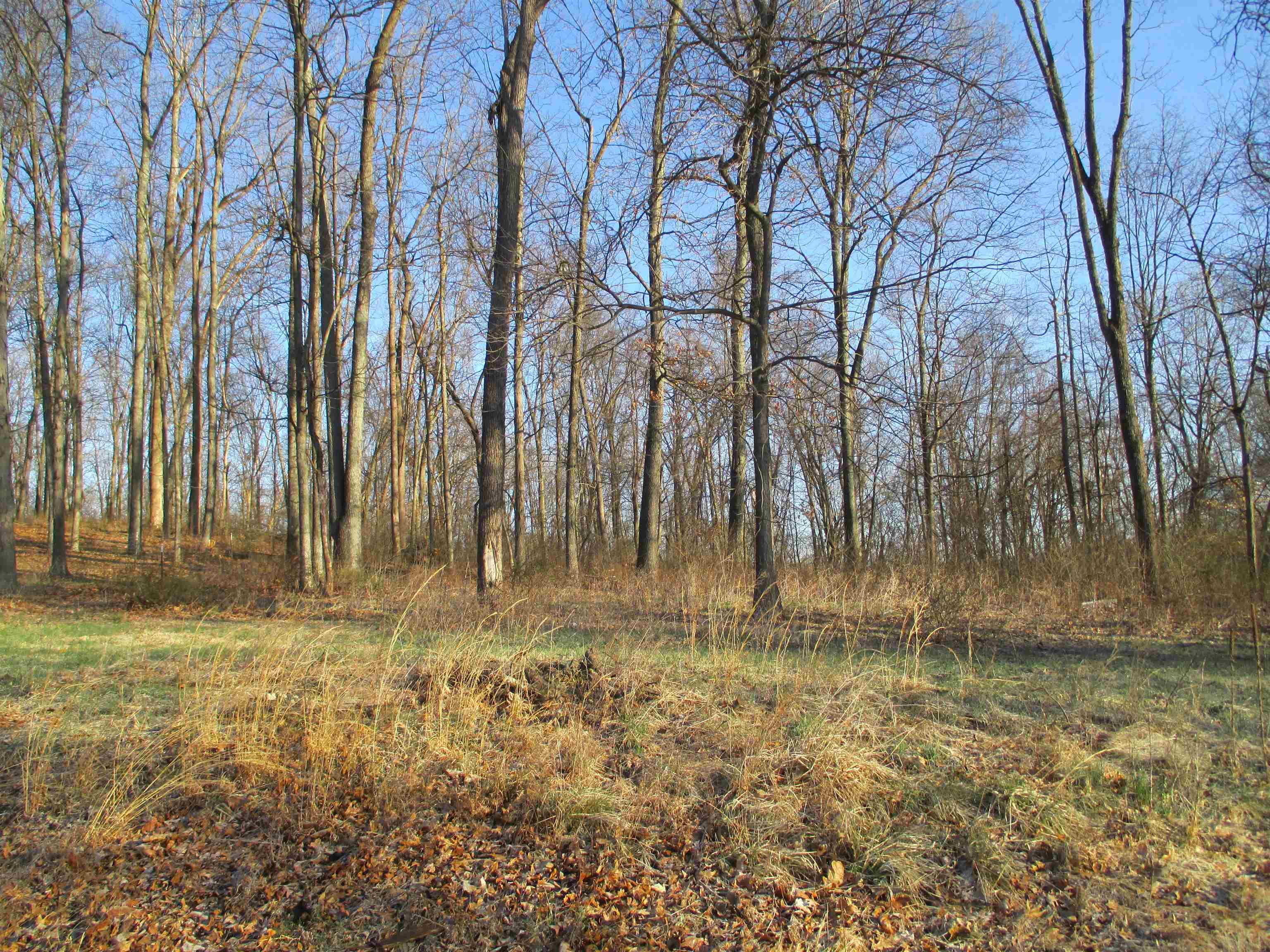 8808 West Evans Road Bloomington, IN 47403 - Photo 27 of 36 Gallery Image 27