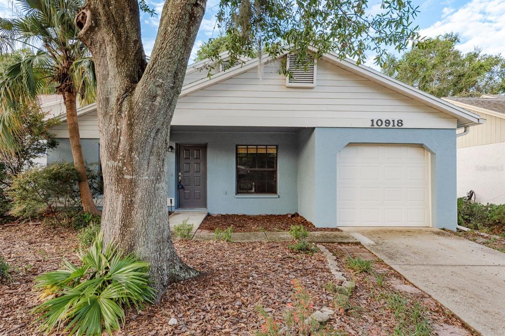 10918 Freemont Drive New Port Richey, FL 34654 - Photo 1 of 26 a front view of a house with a yard and garage