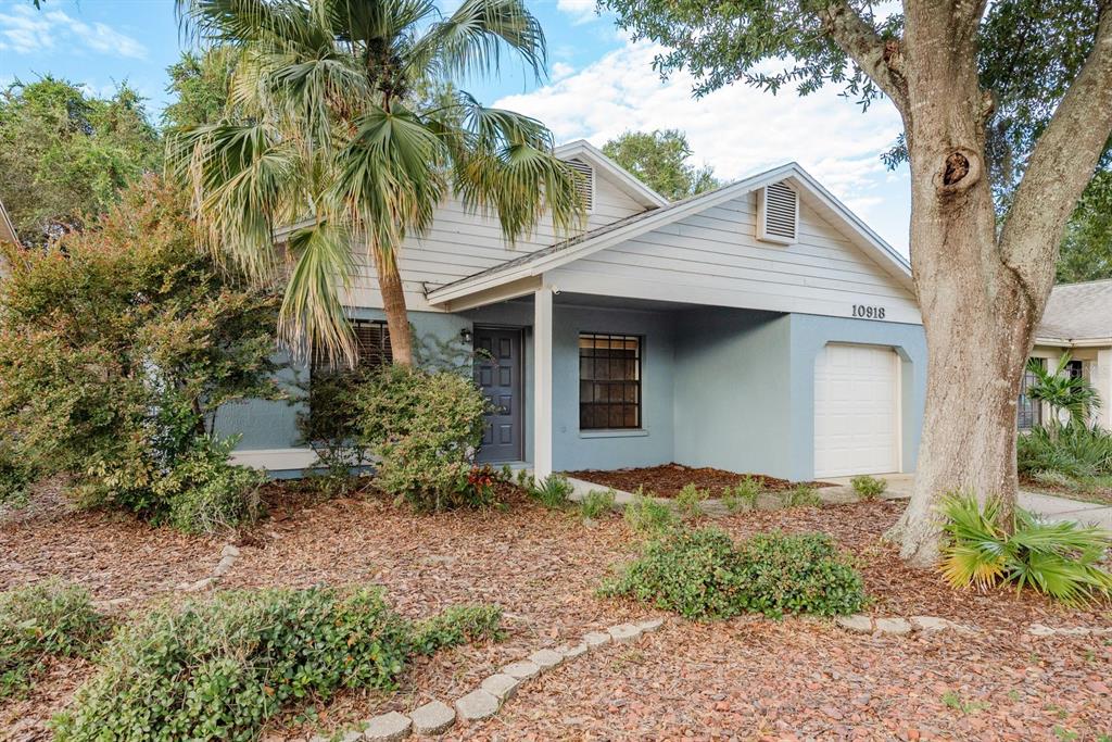 10918 Freemont Drive New Port Richey, FL 34654 - Photo 2 of 26 a front view of a house with a garden