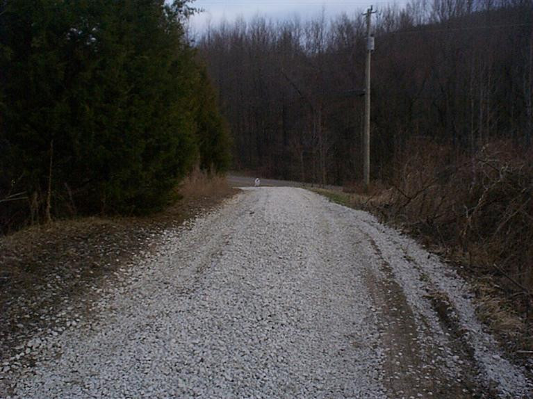 2600 Lower Licking Road Morehead, KY 40351 - Photo 8 of 19 Photo 8