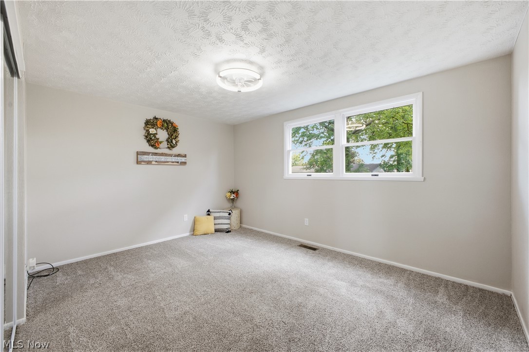 4845 New Road Austintown, OH 44515 - Photo 13 of 40 Gray carpeting throughout, white trim, and a white ceiling-mounted light fixture