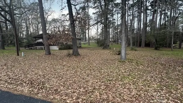 a view of a forest with trees