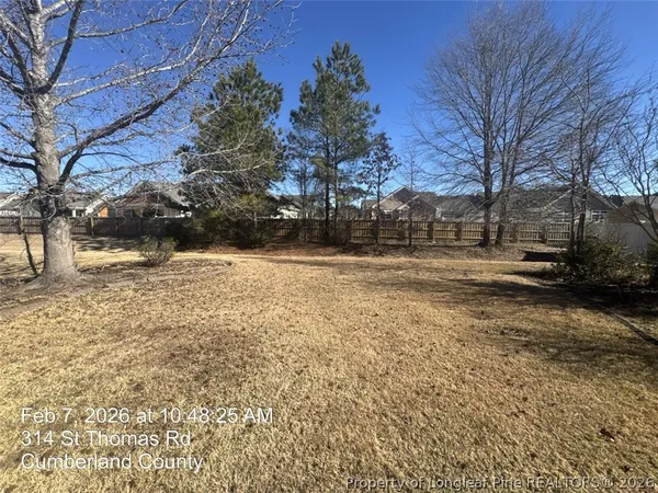 a view of road with large trees