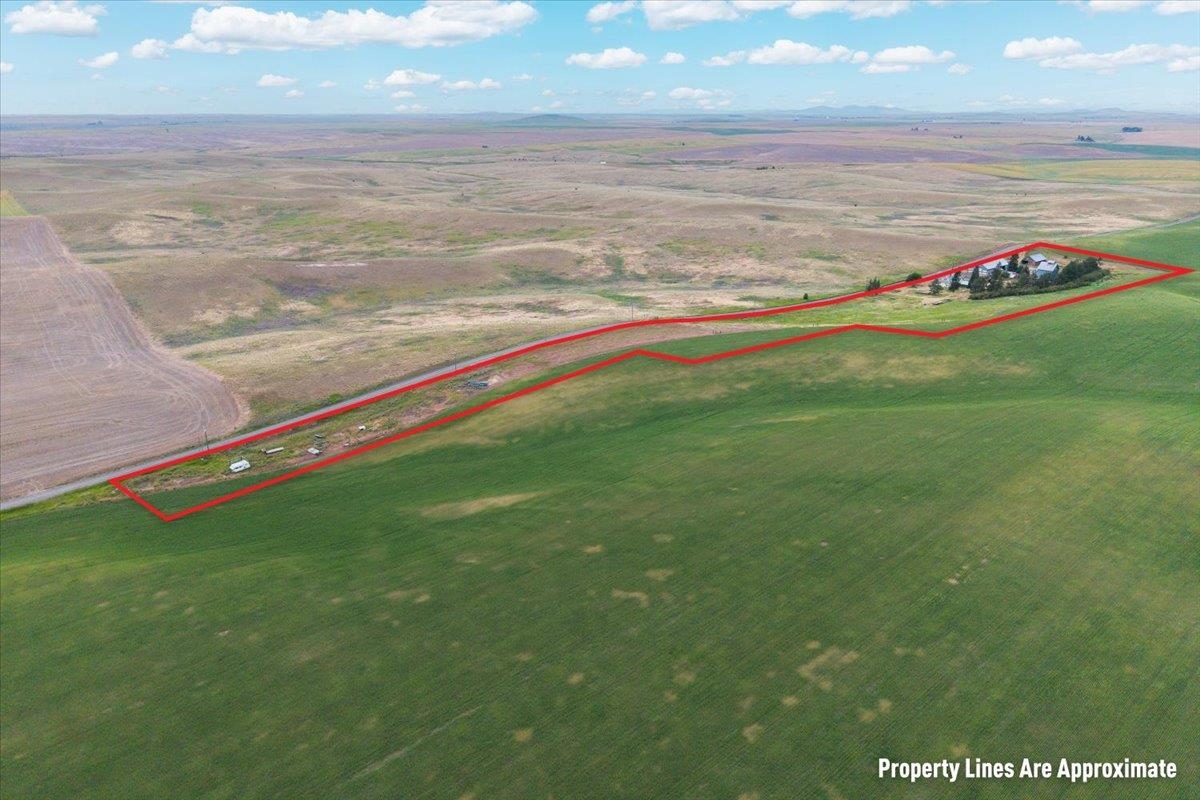 19250 Limestone Road Davenport, WA 99122 - Photo 43 of 46