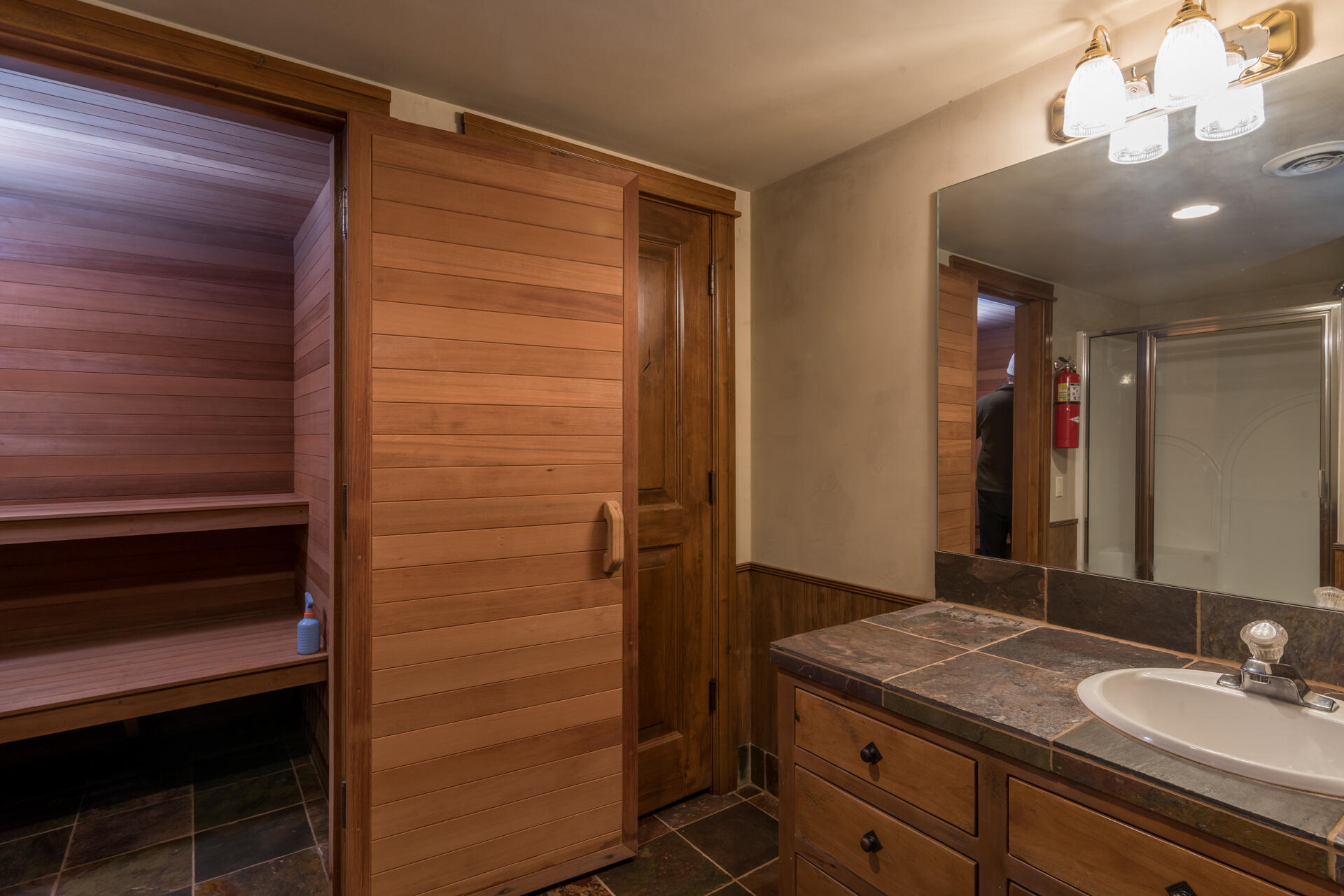1371 Silver Star Drive Hailey, ID 83333 - Photo 25 of 37 Sauna