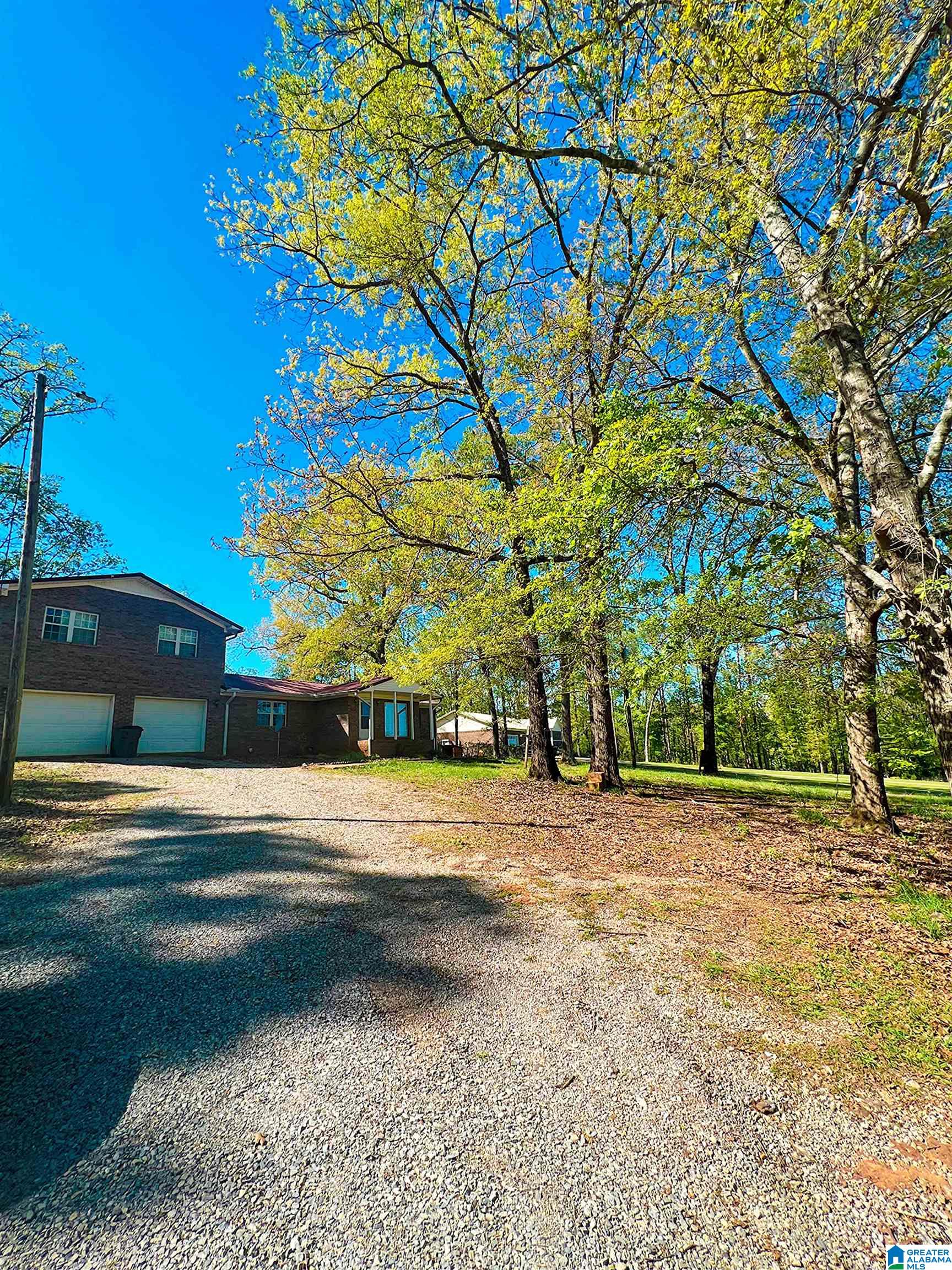 4003 Curry Station Road Munford, AL 36268 - Photo 4 of 37