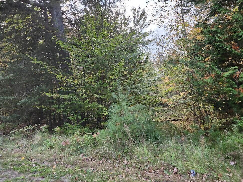 277 East Newport Road Stetson, ME 04488 - Photo 3 of 3 20241004_174955