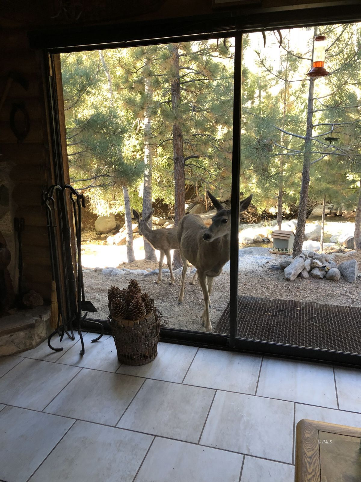 Glacier Lodge Road Big Pine, CA 93513 - Photo 5 of 33 Visitors