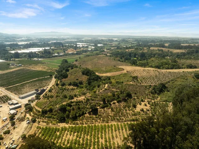 a view of a city with ocean view