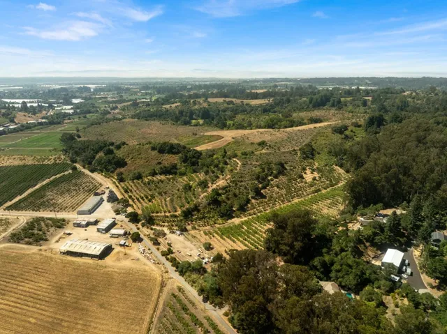 a view of a city with ocean view