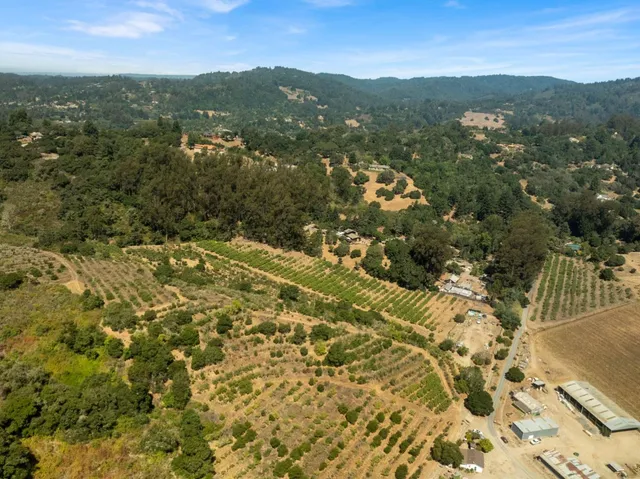 view of city and mountain
