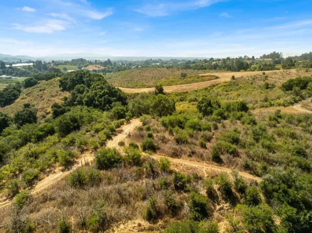 a view of a lake with a city