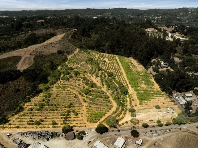 a view of swimming pool