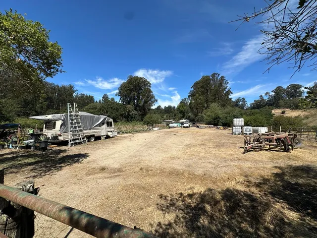 a view of a dry yard with trees