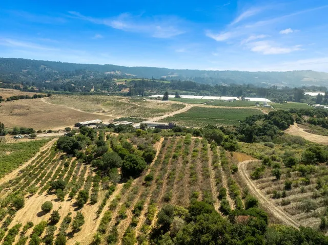 a view of a city with an ocean