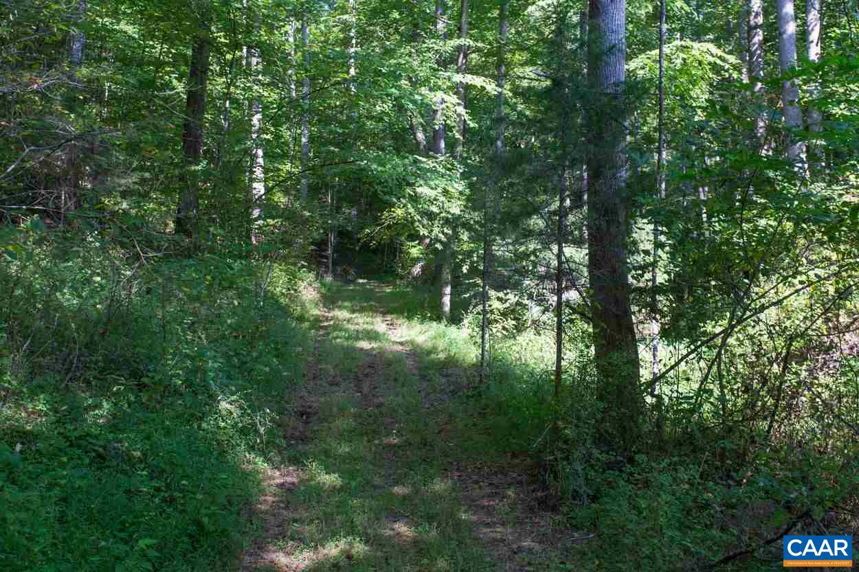 3211 Lowesville Road Roseland, VA 22967 - Photo 44 of 48 a view of forest