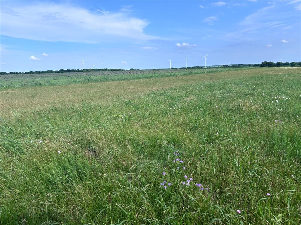 3254 Mount Calm Tx 76673, Unit 4 Mount Calm, TX 76673 - Photo 4 of 5 a view of a lake and a large yard