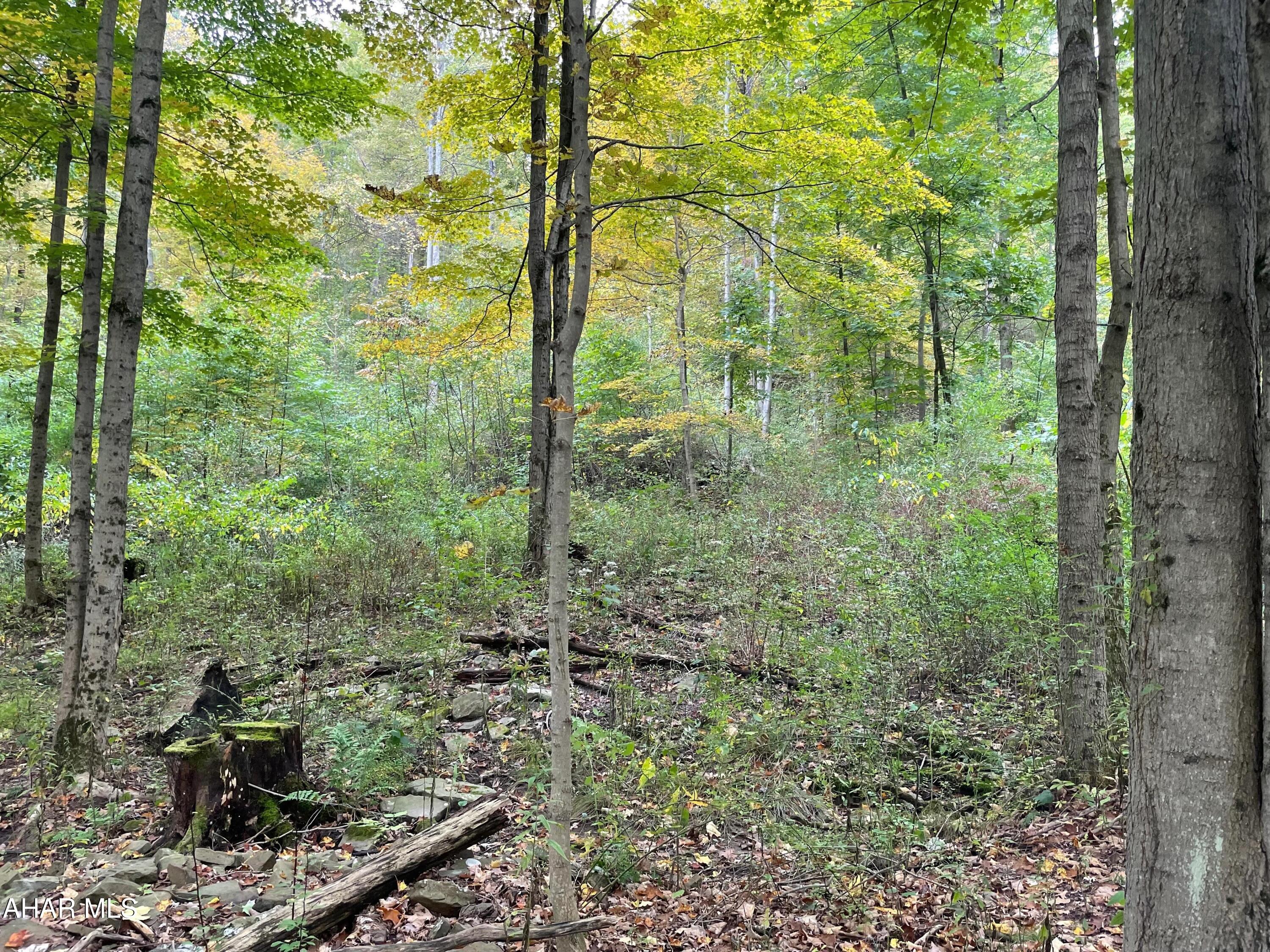 2491 Baughman Cemetery Road Tyrone, PA 16686 - Photo 3 of 19