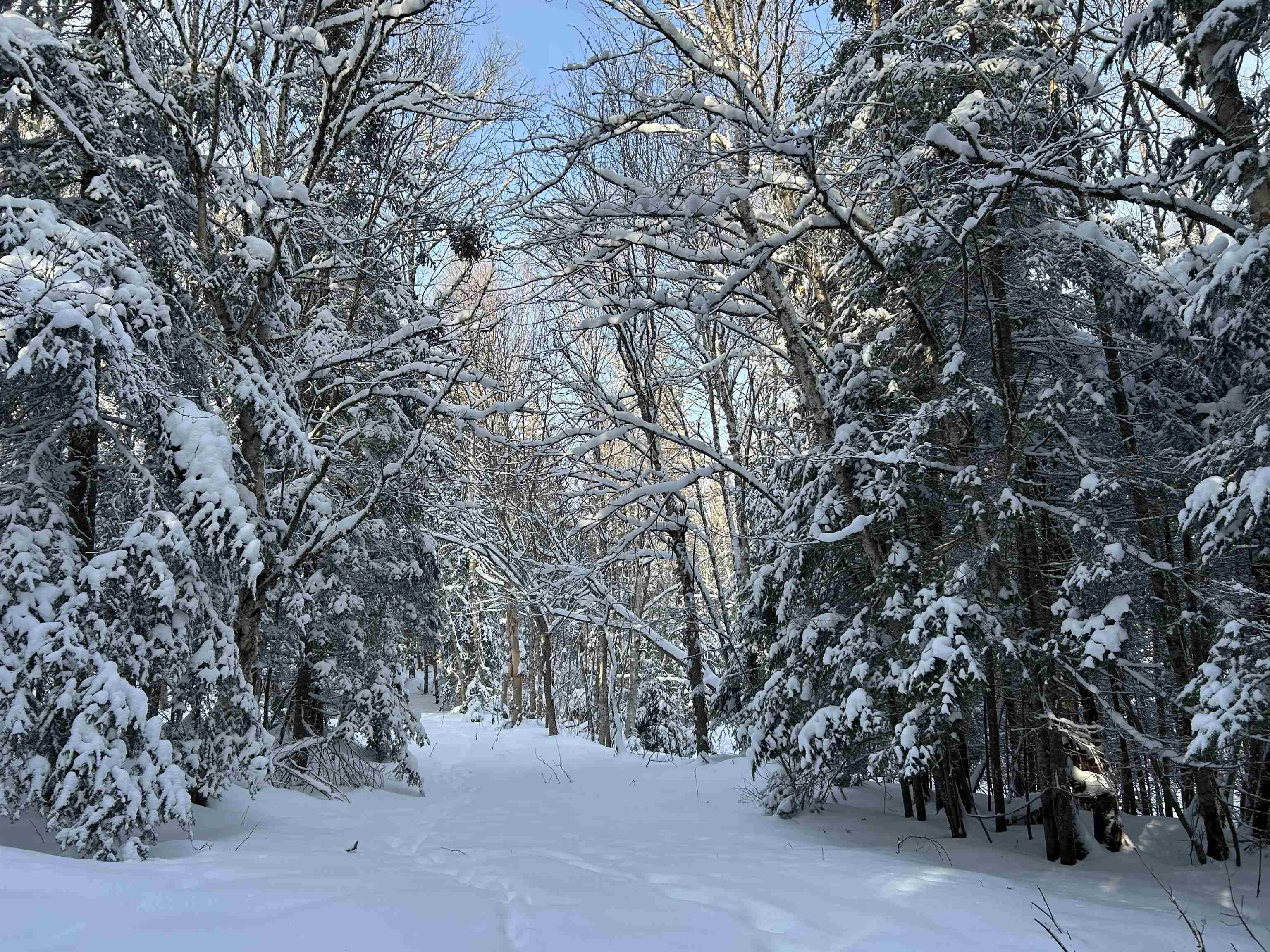 242 Noyes Road Stewartstown, NH 03576 - Photo 17 of 55