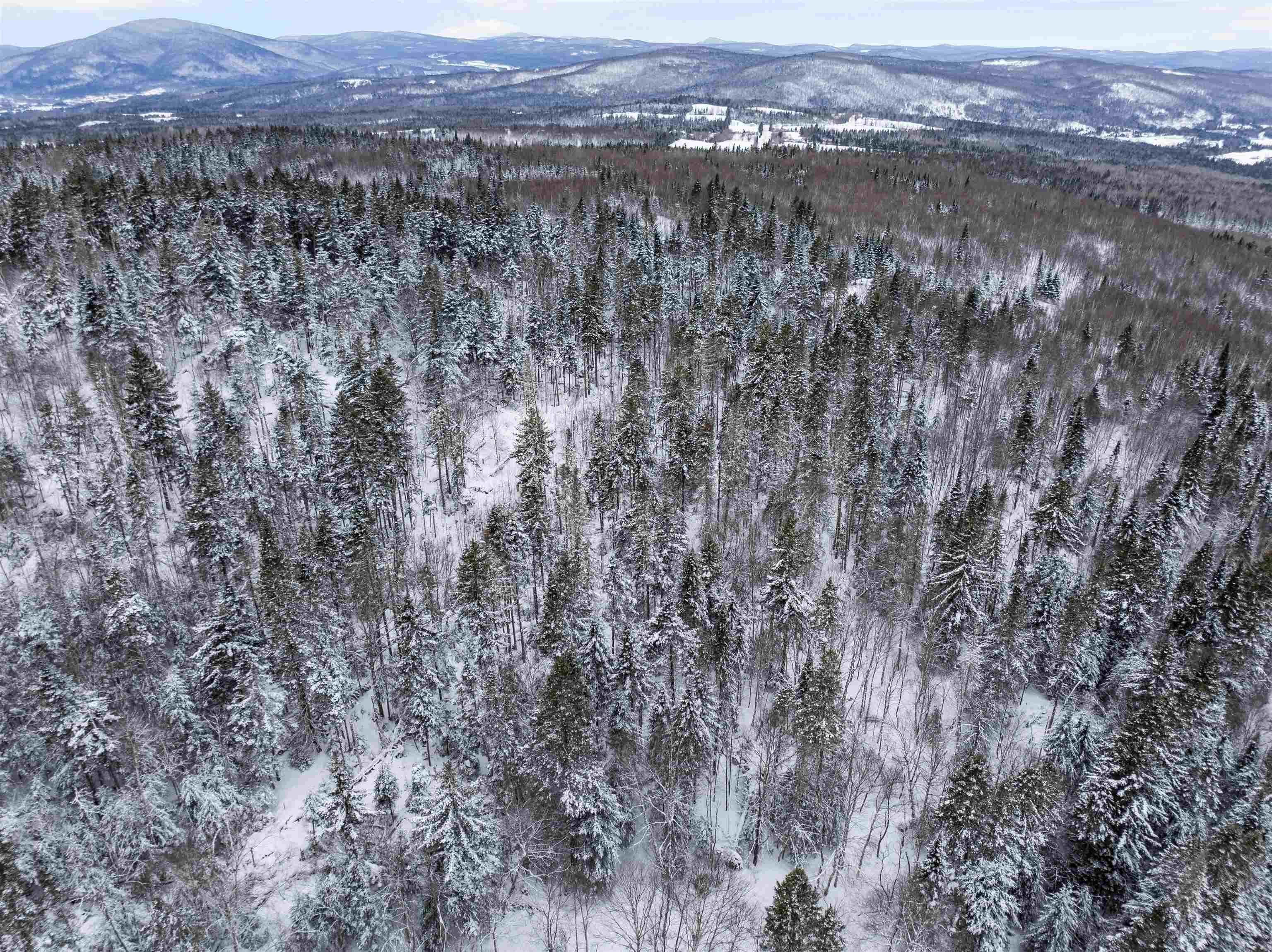 242 Noyes Road Stewartstown, NH 03576 - Photo 40 of 55