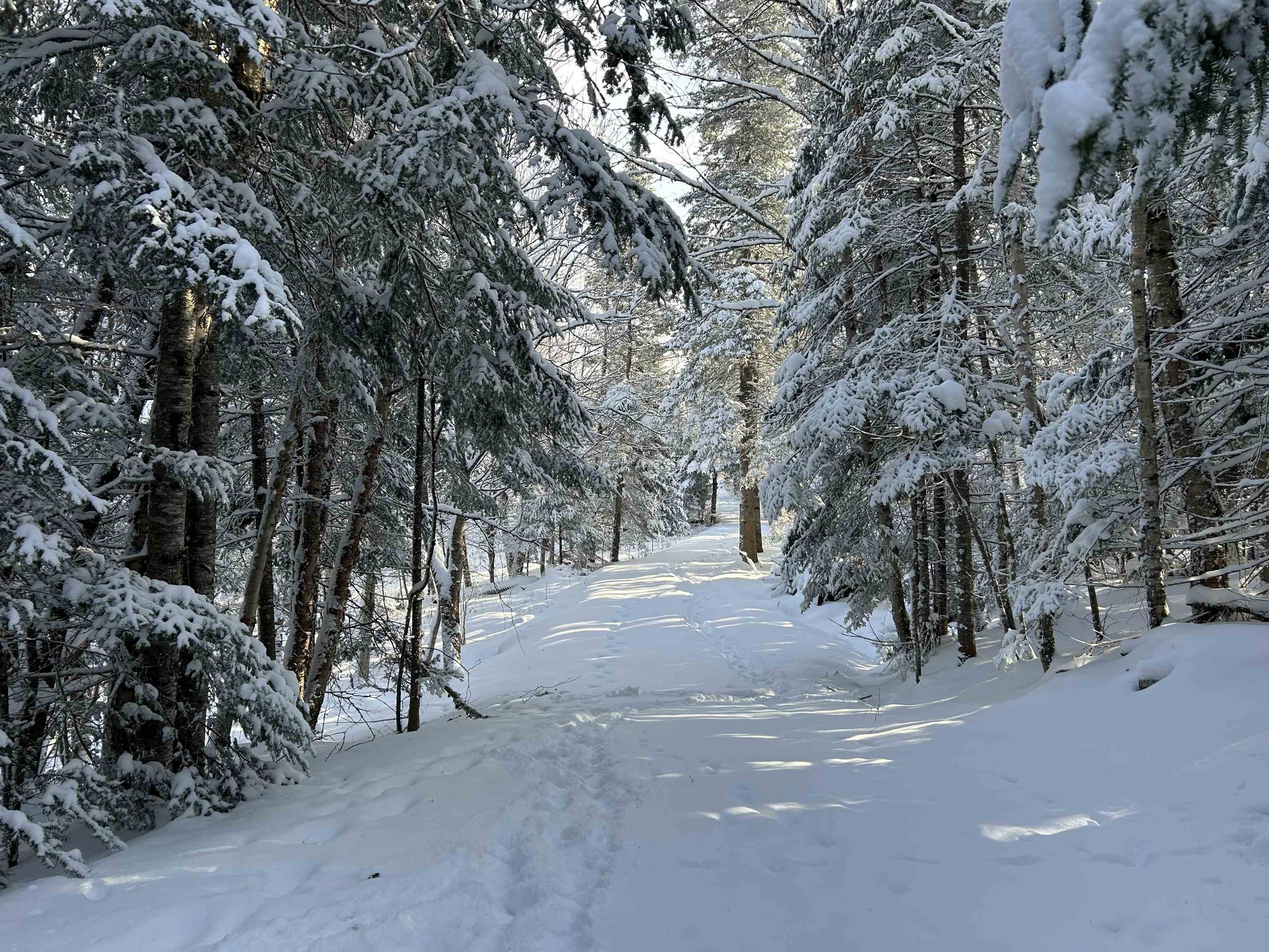 242 Noyes Road Stewartstown, NH 03576 - Photo 4 of 55