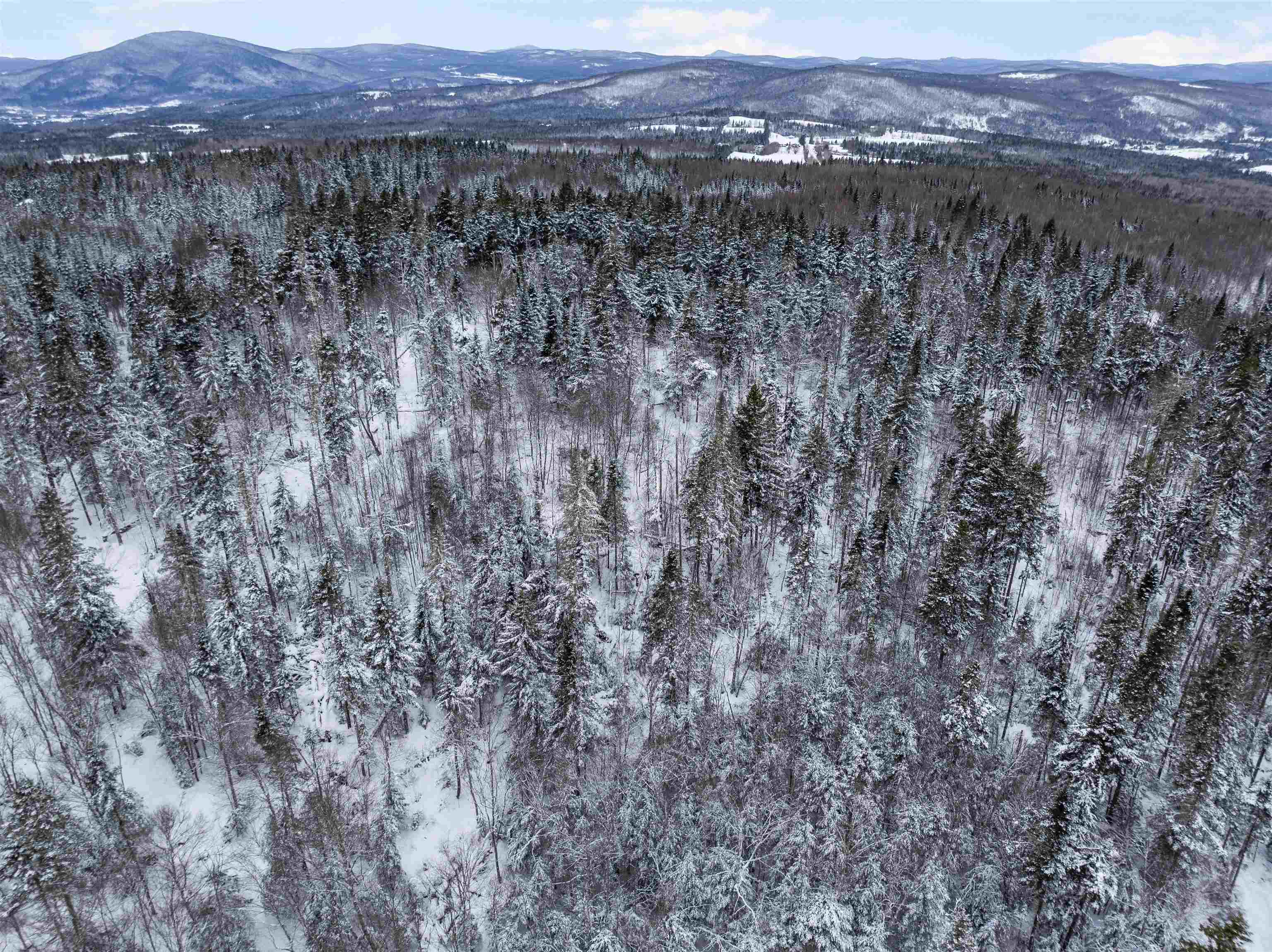 242 Noyes Road Stewartstown, NH 03576 - Photo 41 of 55