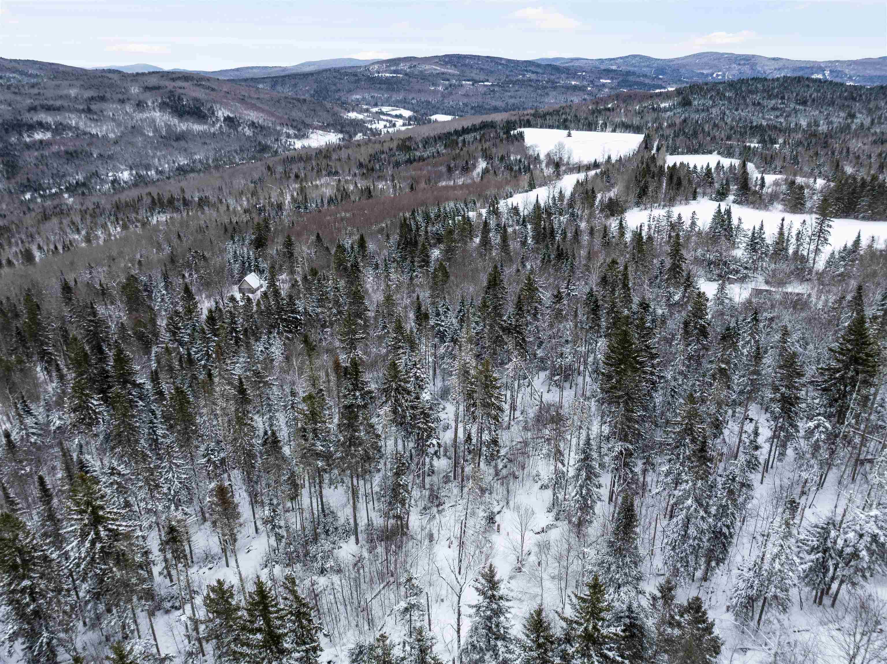 242 Noyes Road Stewartstown, NH 03576 - Photo 50 of 55