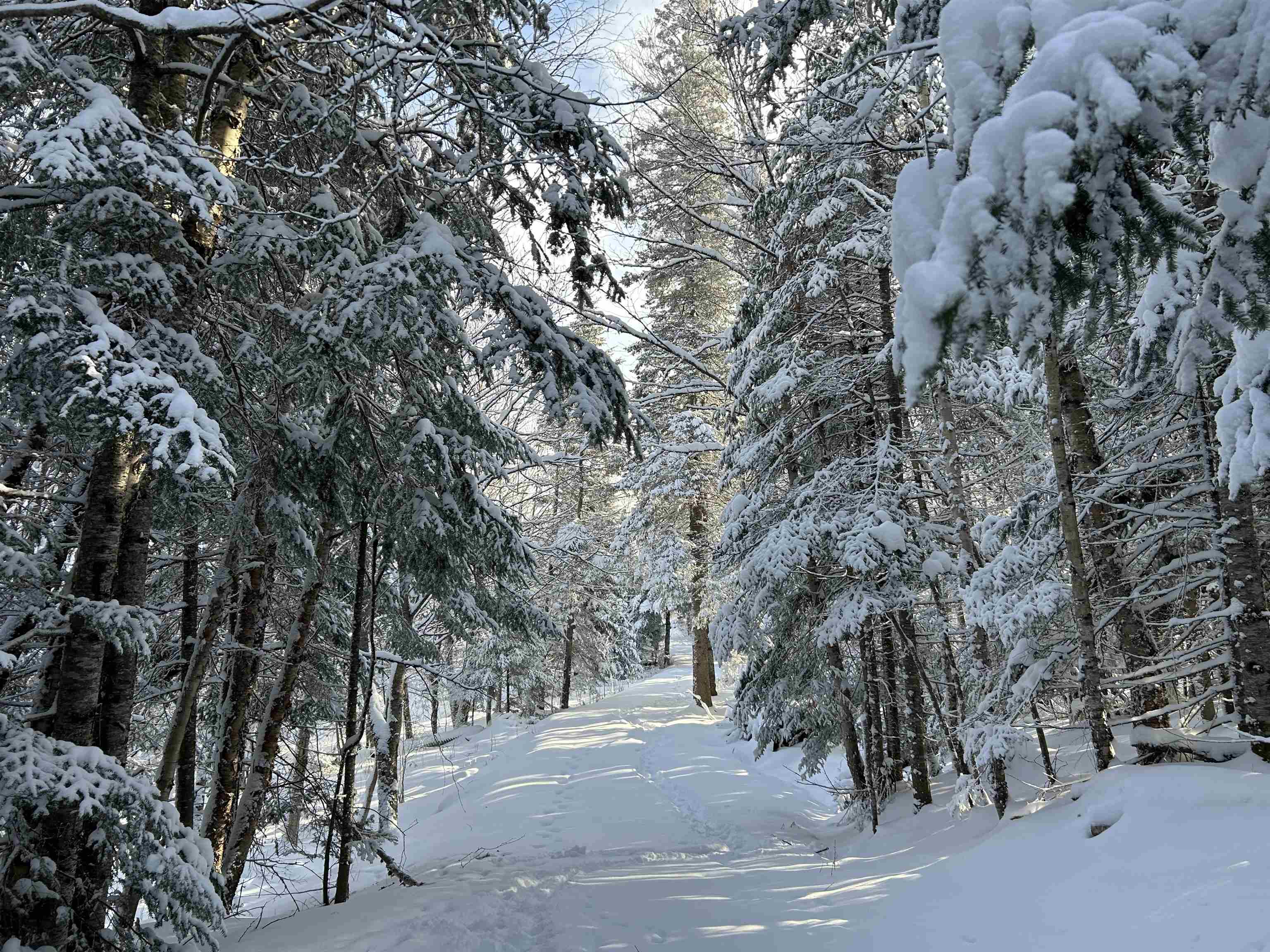 242 Noyes Road Stewartstown, NH 03576 - Photo 5 of 55